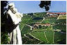 vigne langhe