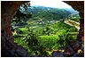 vigne langhe