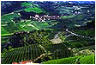 vigne langhe panorama